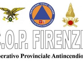 logo COP 2015