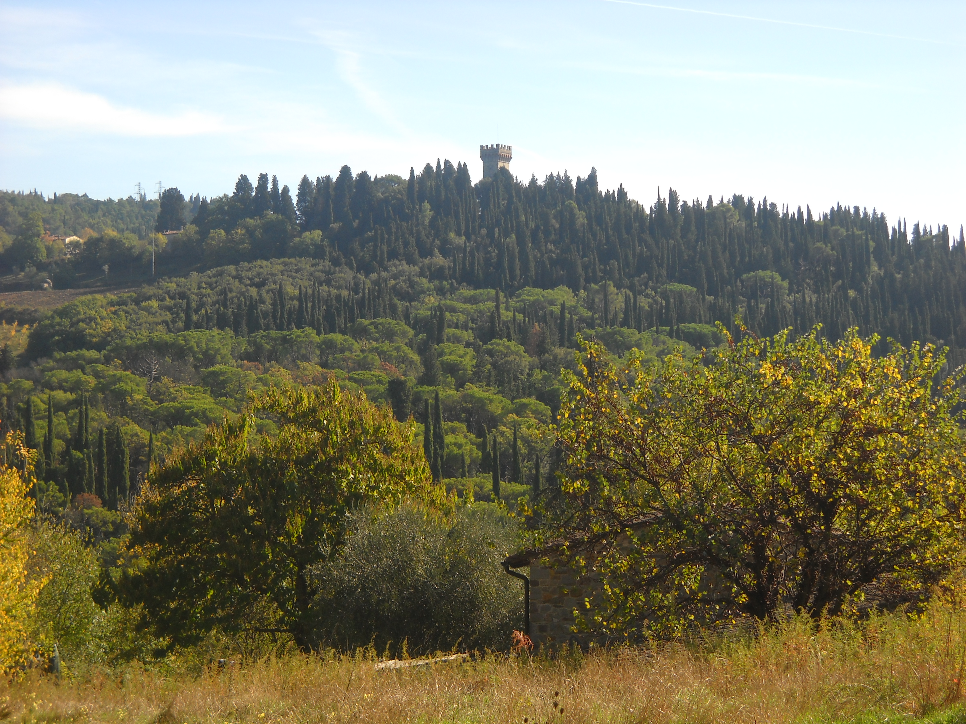 Panorama dal sentiero CAI n. 7 (di Giuliana Profeti)