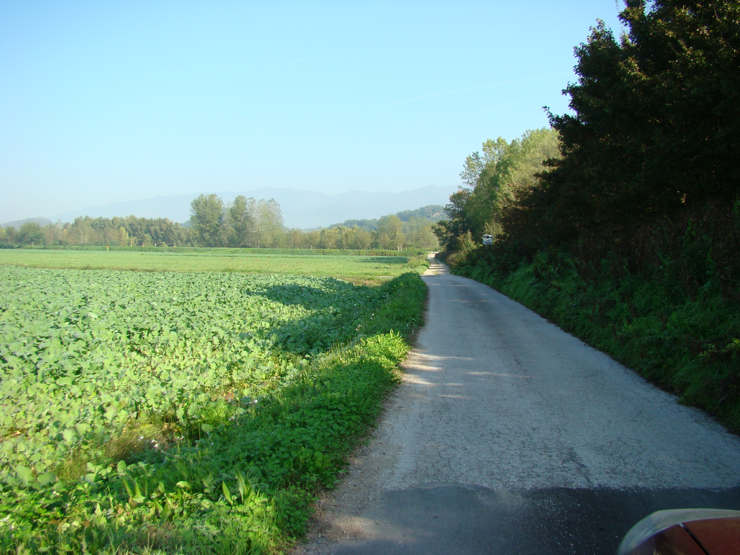 Panorama dalla strada di accesso alla Garzaia (di Giuliana Profeti)