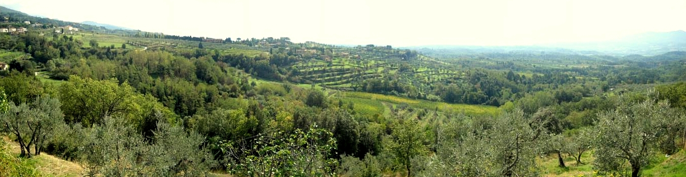 Panorama dalla località La Ripa (di Giuliana Profeti)