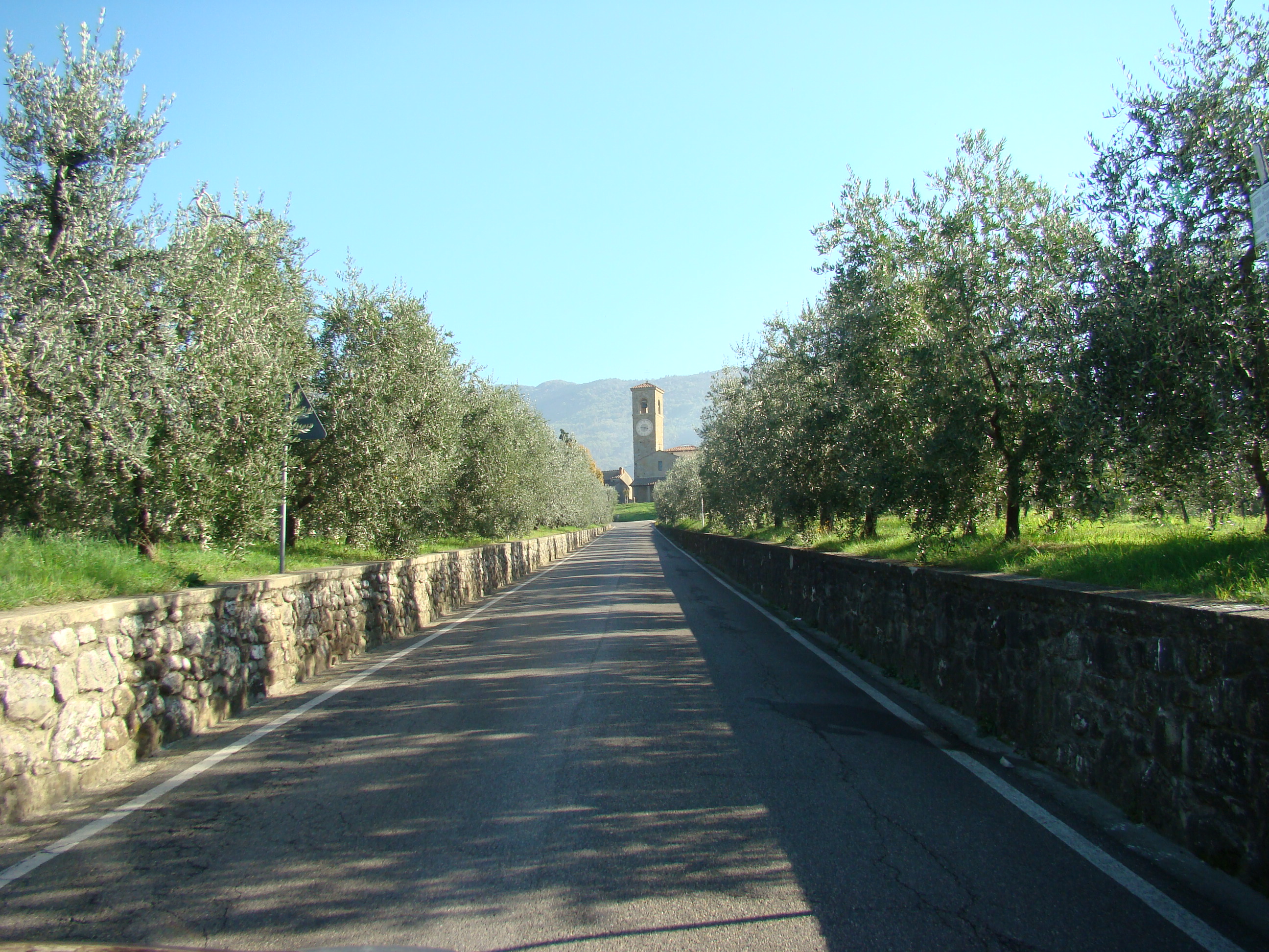 Pieve di Sant'Agata in Arfoli (di Giuliana Profeti)
