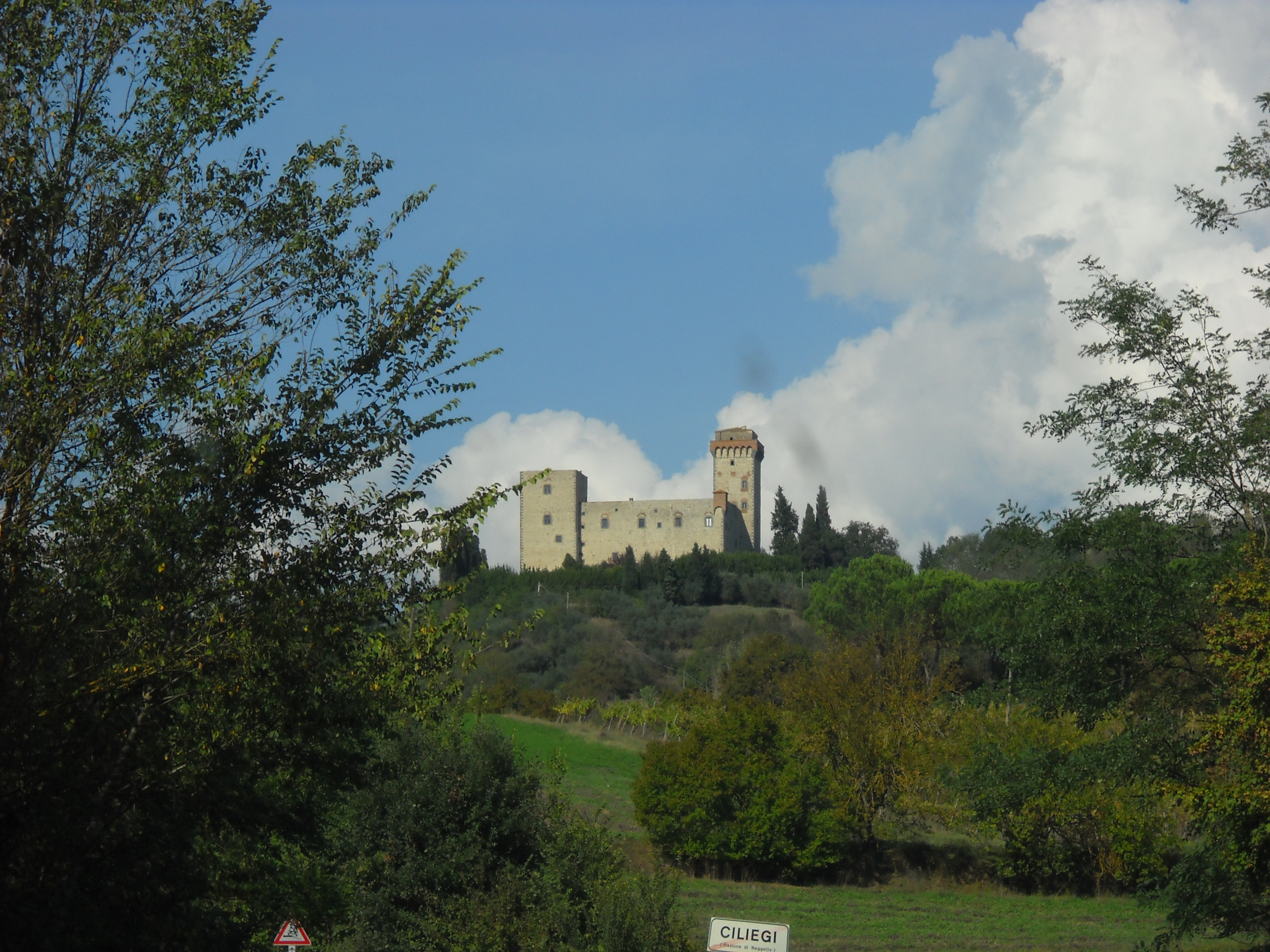 Torre del castellano (di Giuliana Profeti)