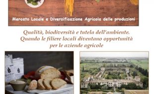La locandina di presentazione del progetto 'Me.Lo.Di.A.', promosso dal Pit della Piana