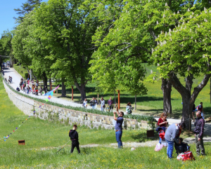 Il Parco Mediceo di Pratolino