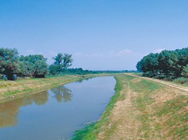 L'oasi di Arnovecchio nel Padule di Fucecchio - Canale
