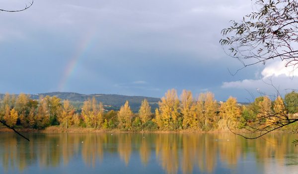 Foliage autunnale Arnovecchio