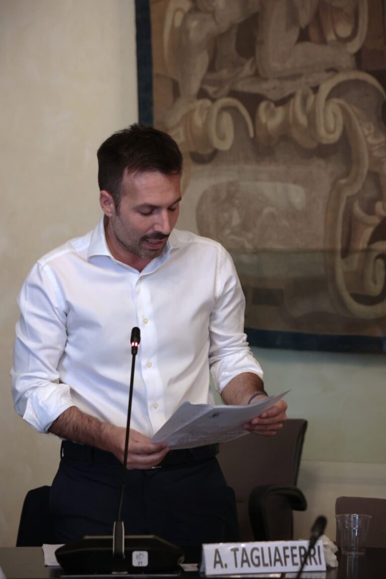 il consigliere metropolitano Tagliaferri durante il consiglio metropolitano