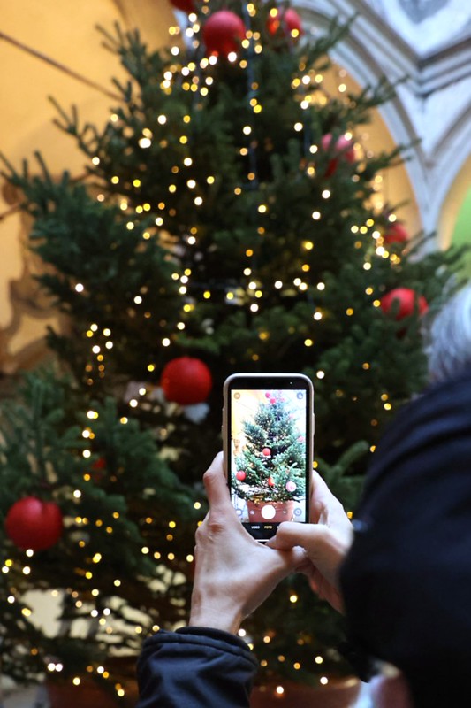 primo piano del telefonino che inquadra l'albero addobbato nel cortile di Michelozzo