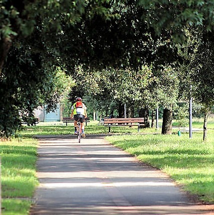 CICLOVIA DELL'ARNO