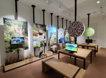 Centro Visite del Parco delle Foreste Casentinesi: interno con quadri alle pareti, scrivanie in legno con pc