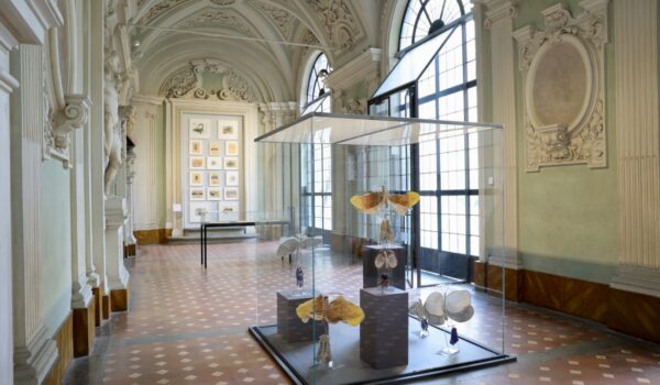 una sala di palazzo medici riccardi con teca contenente opere di clemen parrocchetti