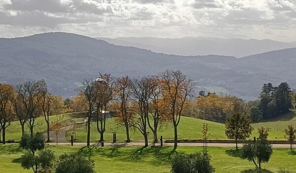 scorcio del Parco Mediceo di Pratolino