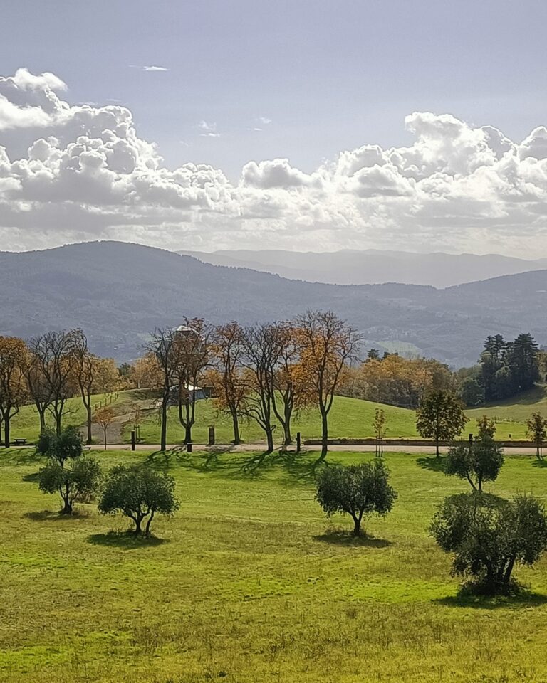 scorcio del Parco Mediceo di Pratolino