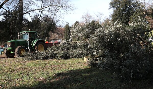 trattore al lavoro nel parco di pratolino