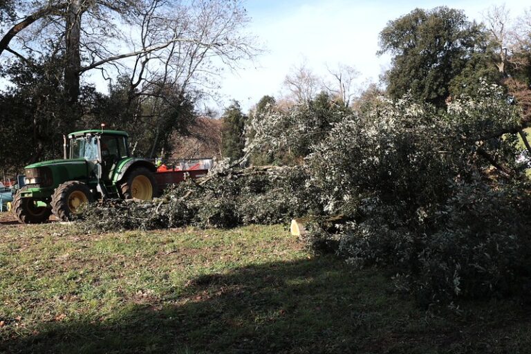 trattore al lavoro nel parco di pratolino