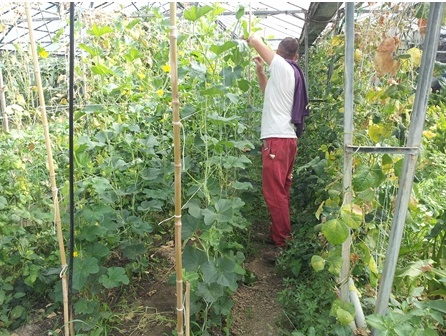 Un laboratorio all'Istituto agrario