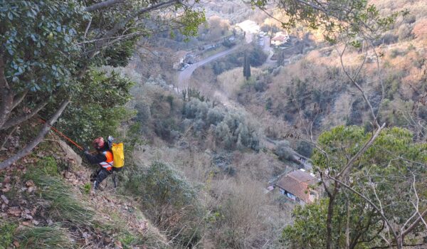 vista dall'alto di zona boscosa con strada sullo sfondo, in primo piano un operaio con giubbotto arancione e casco si cala dal pendio assicurato con le corde