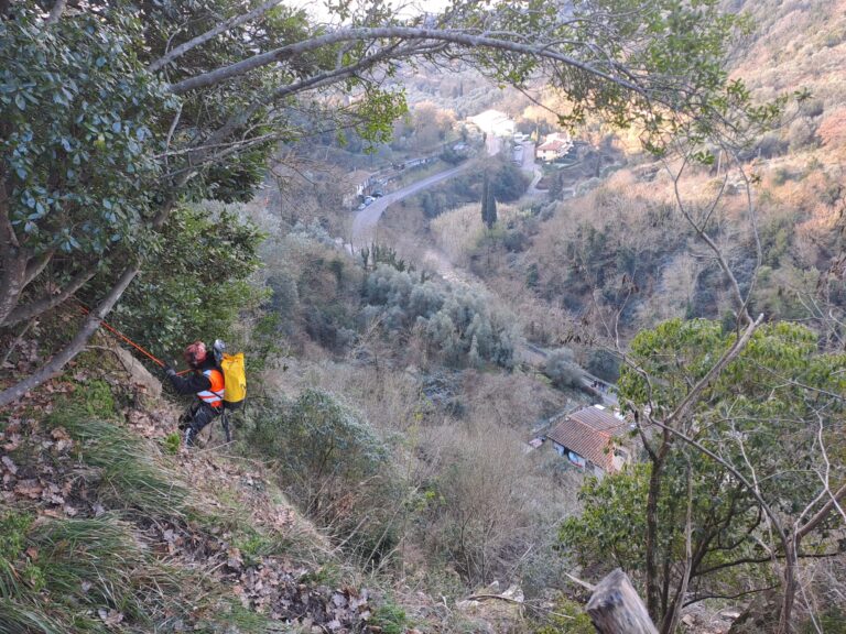 vista dall'alto di zona boscosa con strada sullo sfondo, in primo piano un operaio con giubbotto arancione e casco si cala dal pendio assicurato con le corde