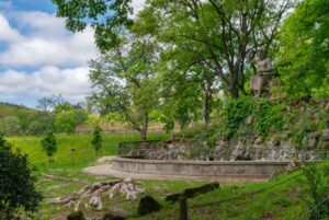 Parco Mediceo di Pratolino - Progetto Mosaico Verde Riforestazione 18/05/2023 Città Metropolitana di Firenze