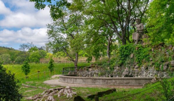 Parco Mediceo di Pratolino - Progetto Mosaico Verde Riforestazione