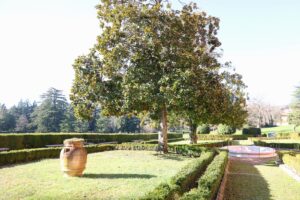 Parco Mediceo di Pratolino, porzione con vasca in marmo, orcio e alberi secolari