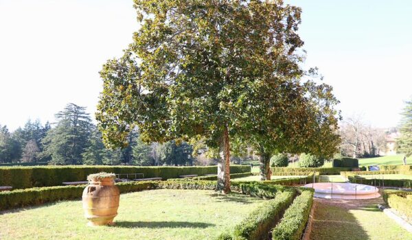 prato con orcio in terracotta, vasca in marco e albero