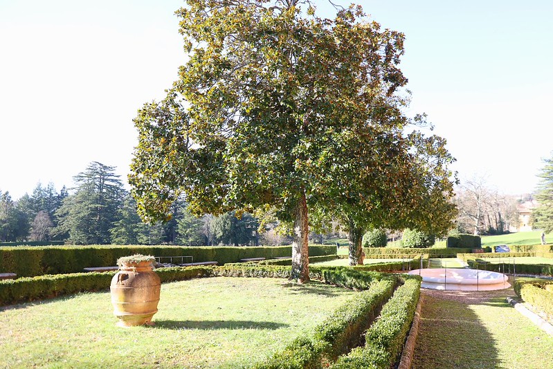 prato con orcio in terracotta, vasca in marco e albero