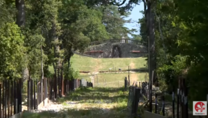 Viale degli Zampilli al Parco Mediceo di Pratolino 