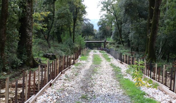 sentiero alberato con lavori ai margini