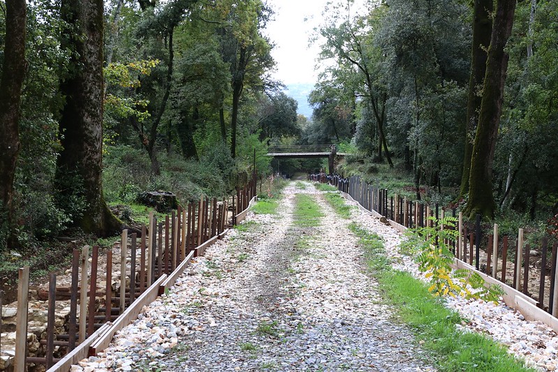 sentiero alberato con lavori ai margini