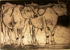 Checchi - i bovi 1916