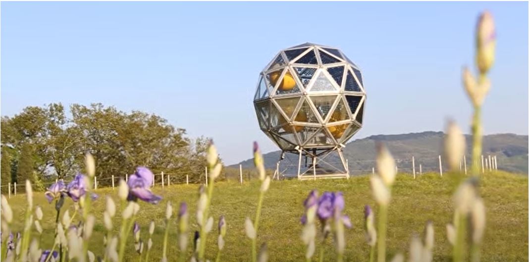 la primavera nel Parco Mediceo di Pratolino