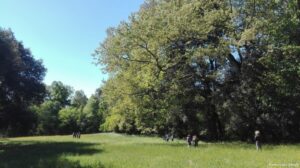 parco mediceo di pratolino