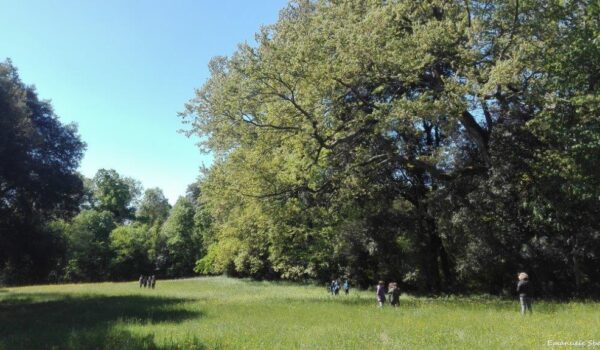 parco mediceo di pratolino